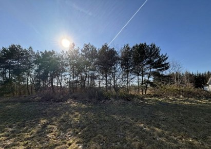 działka na sprzedaż - Leszno, Gronowo, Graniczna